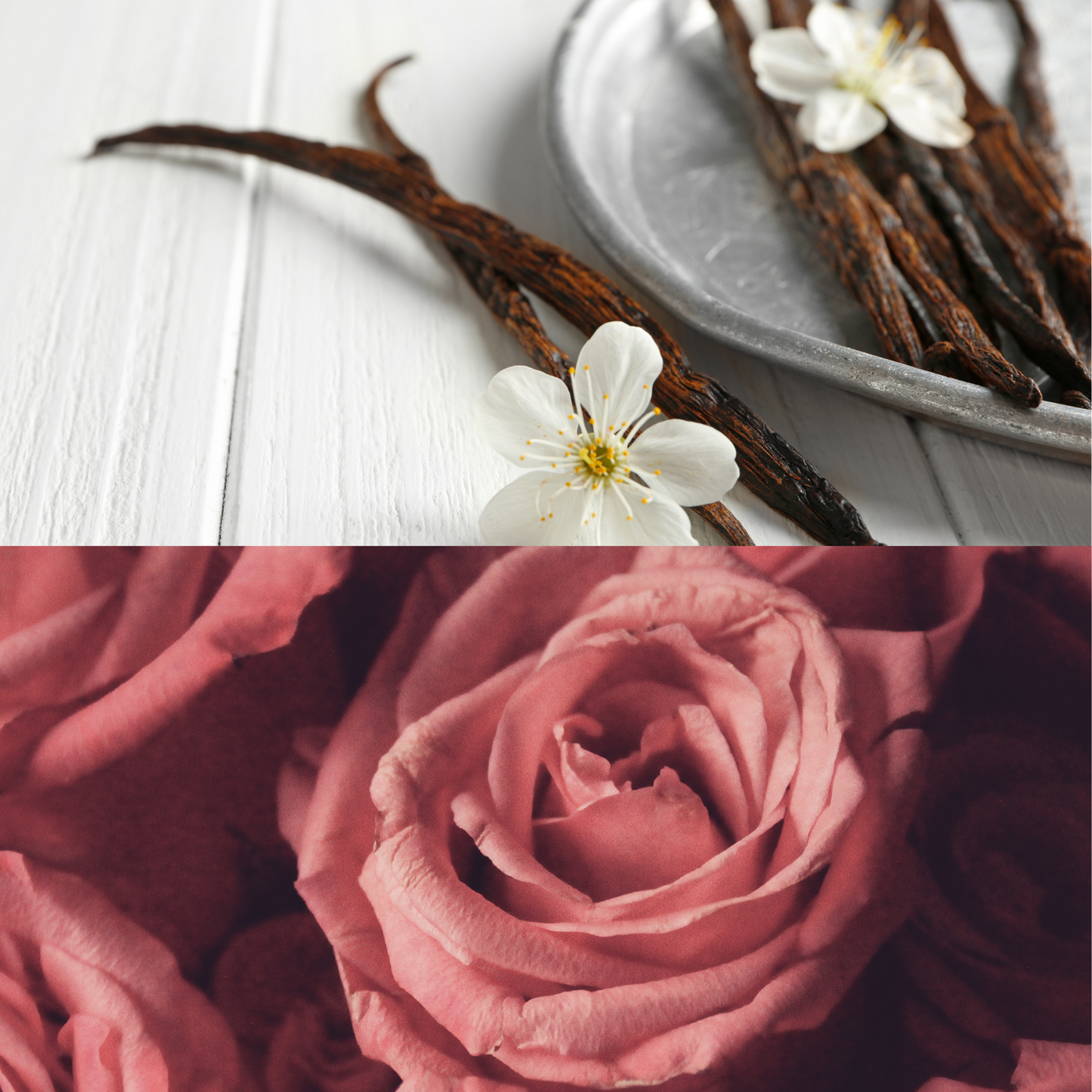 Mother's Day Scented Candle Gift – "Home Is Her Hug" – British Rose & Vanilla, 8oz, 100% Natural Soy Wax