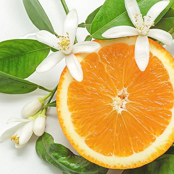 Scented Soy Wax Candle – Neroli Scented Candle for Easter Gifting & Home Decor